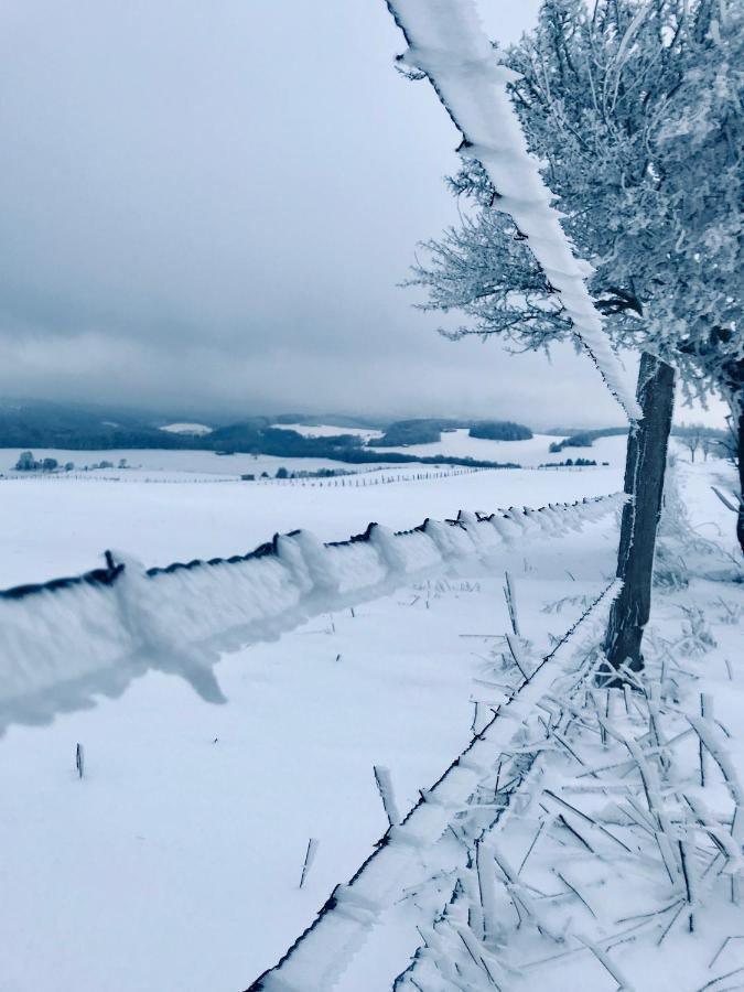 Chalet Bergliebe บรีโลน ภายนอก รูปภาพ